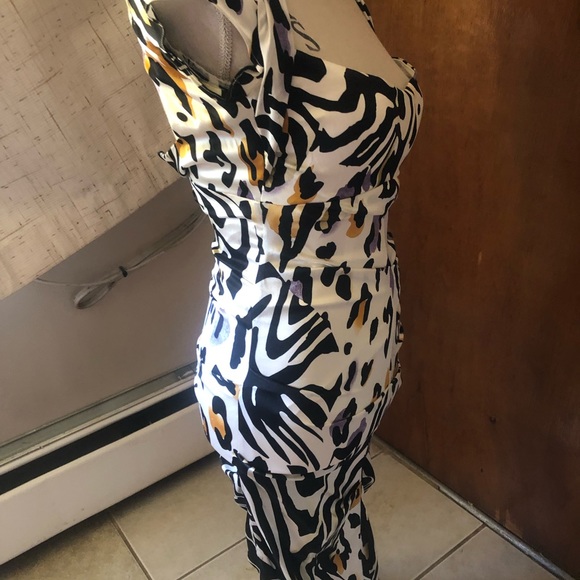 Cache SILK MIDI DRESS CAP SLEEVES BODYCON FIT PADDED BRA SEXY ZEBRA STRIPE SZ 2 - Picture 5 of 16